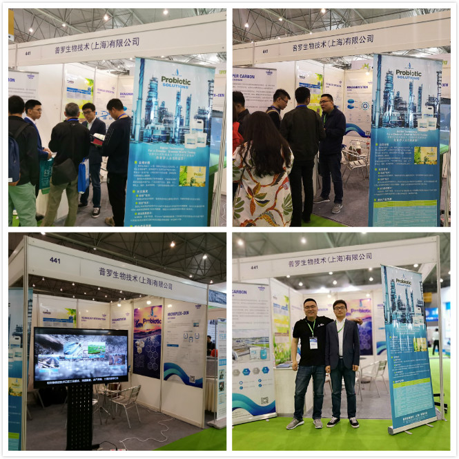 1557458391805511.jpg 5.jpg