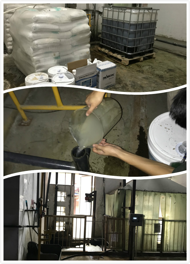 1571894707576140.jpg 微信圖片_20191023131712_meitu_2.jpg