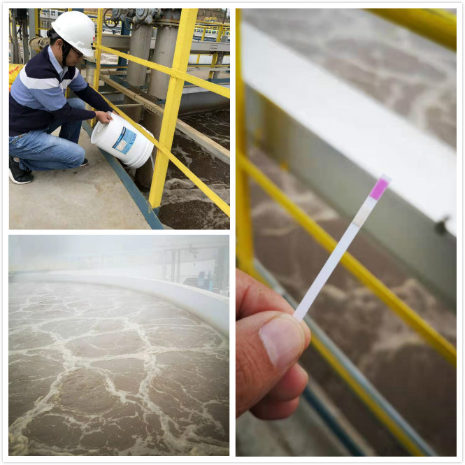 1571894759118358.jpg 微信圖片_20191023131712_meitu_2.jpg