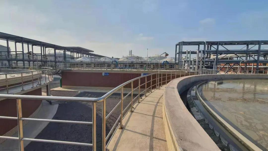 氨氮達(dá)標(biāo).jpg 氨氮達(dá)標(biāo).jpg