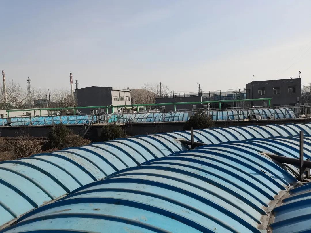 1612321779329870.jpg 1612321779329870.jpg