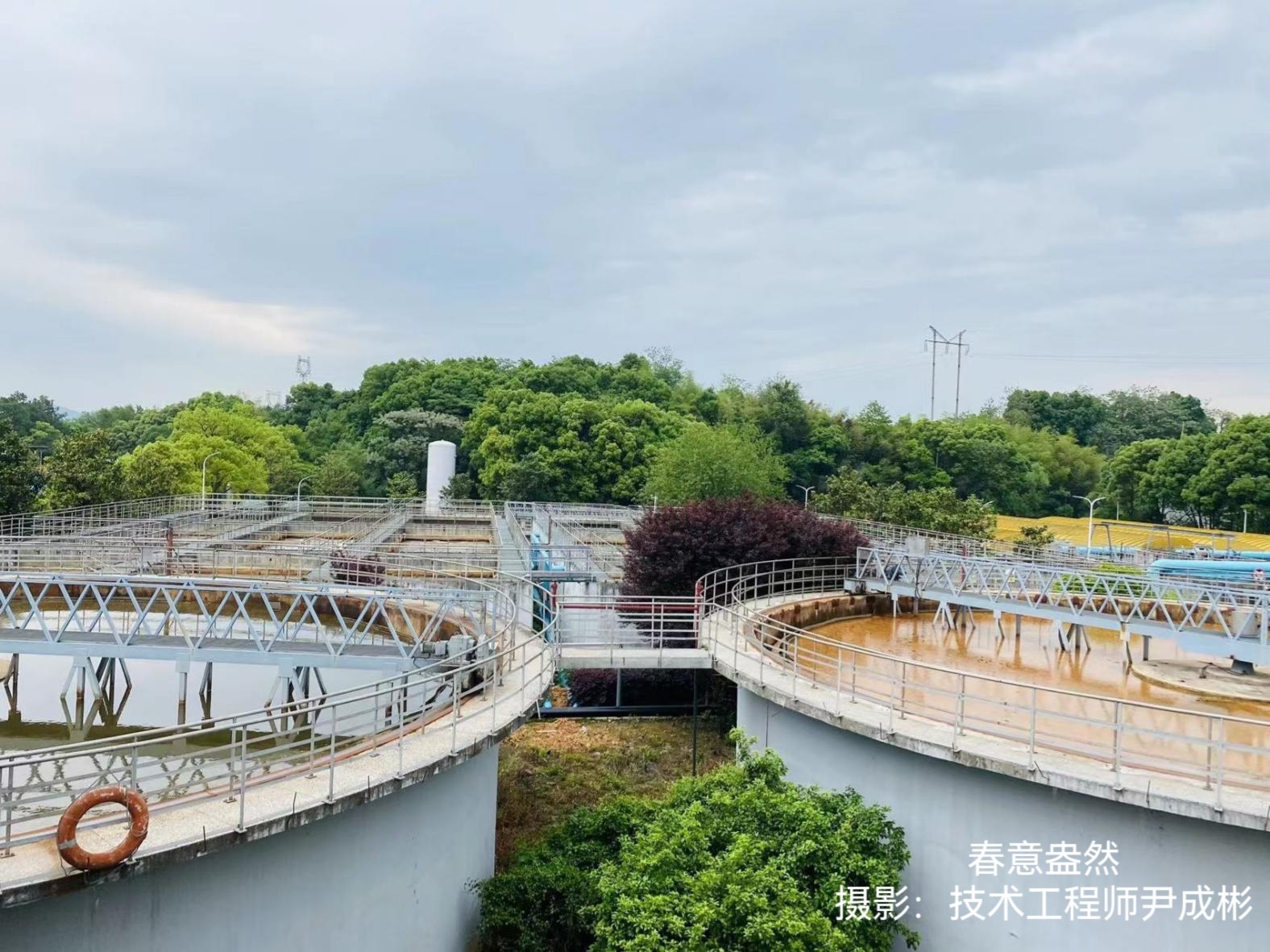 1673945625342780.jpg 3.jpg