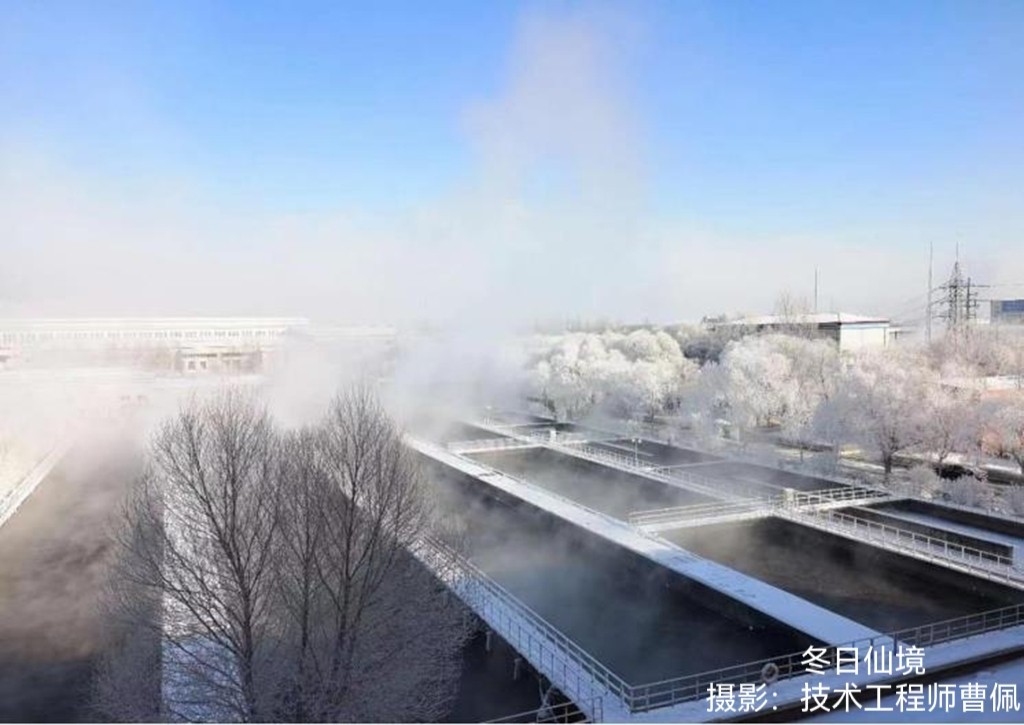 1673945670780685.jpg 5.jpg