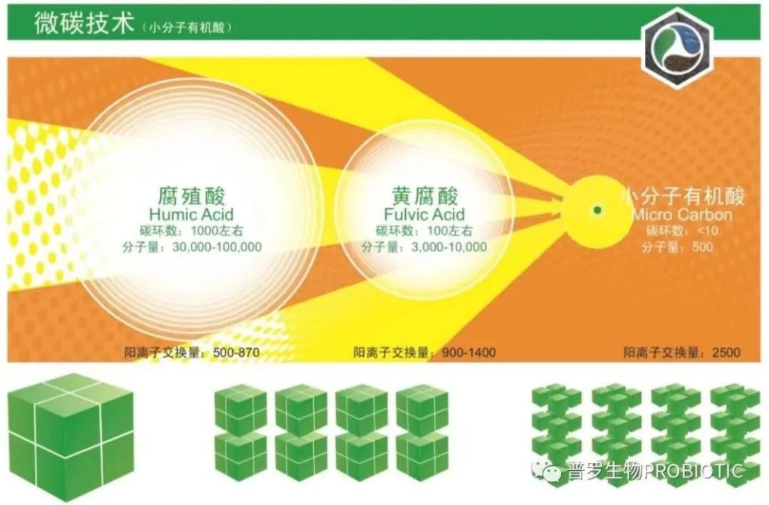 1687318584479260.jpg 640.jpg