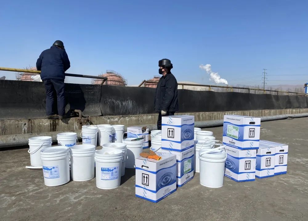 1690536582113486.jpg 1690536582113486.jpg